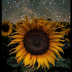 Meet your Posher, Cassandra